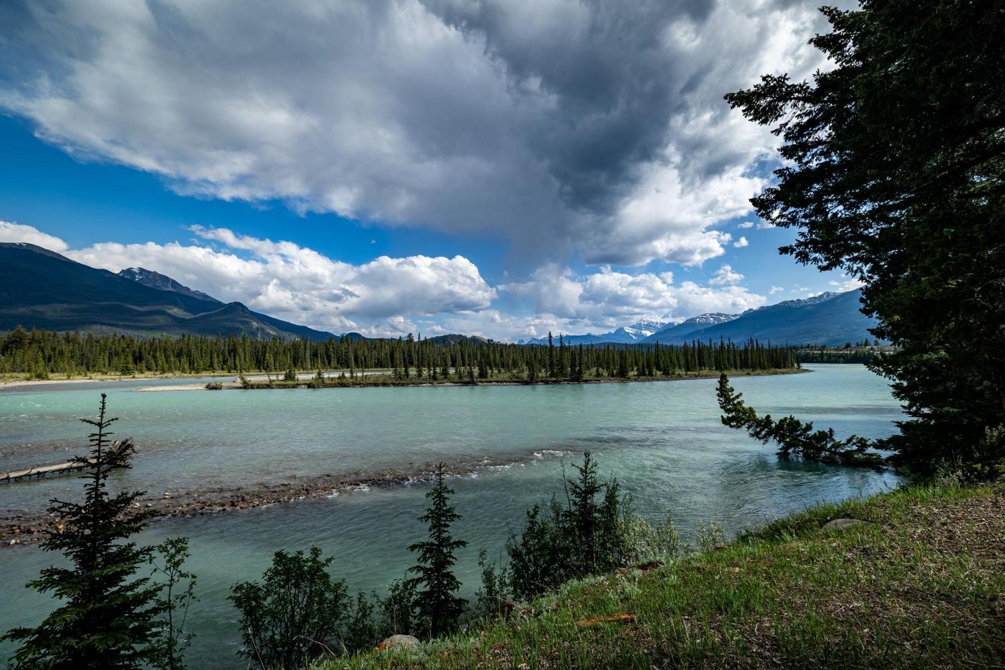 Pine Bungalows Jasper Luaran gambar